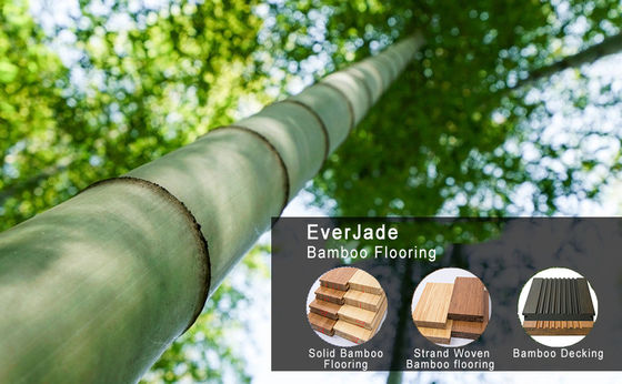 Añadir un toque de elegancia moderna con el estilo de diseño de carbón ecológico Floresta de bambú pisos