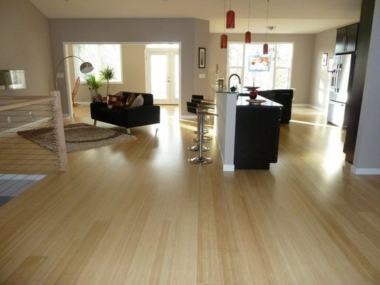 Transforme su espacio con parquet de suelo de madera laminada resistente al agua