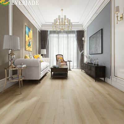 Proyecto de diseño gráfico Solución Capacidad Acuario Piso en color de suelo de madera