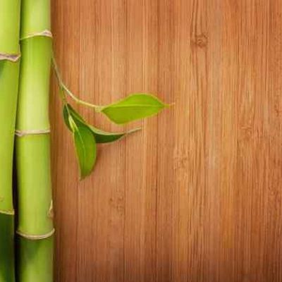 Pavimento de madera carbonizada Pavimento de madera de madera estándar Panel de pared de bambú Pavimento de bambú sólido