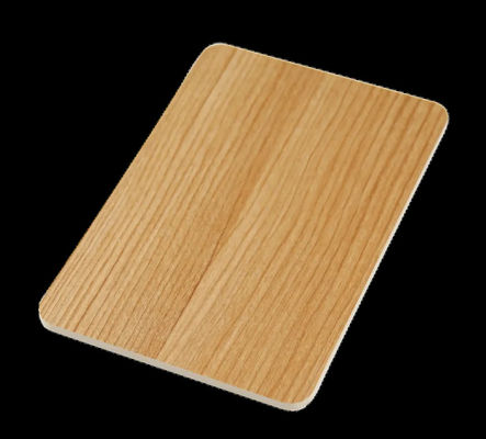 Buen aislamiento acústico Plasticidad Placa de espuma de PVC para decoración de interiores en diversos estilos